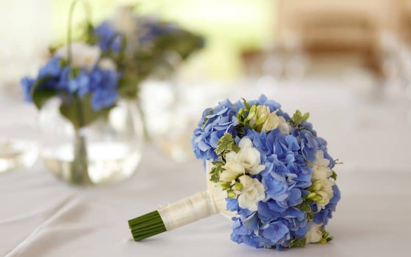 Beautiful wedding bouquet with white and blue flowers